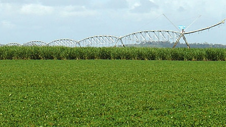 Water plan: Irrigators have been told they will be consulted. (File photo)