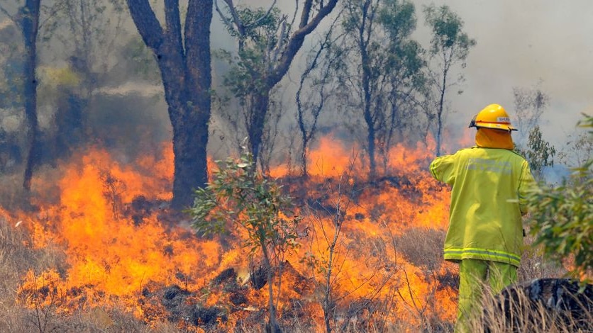 A firefighter monitors a bushfire in Rockhampton in 2009.