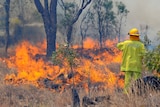 A firefighter monitors a bushfire