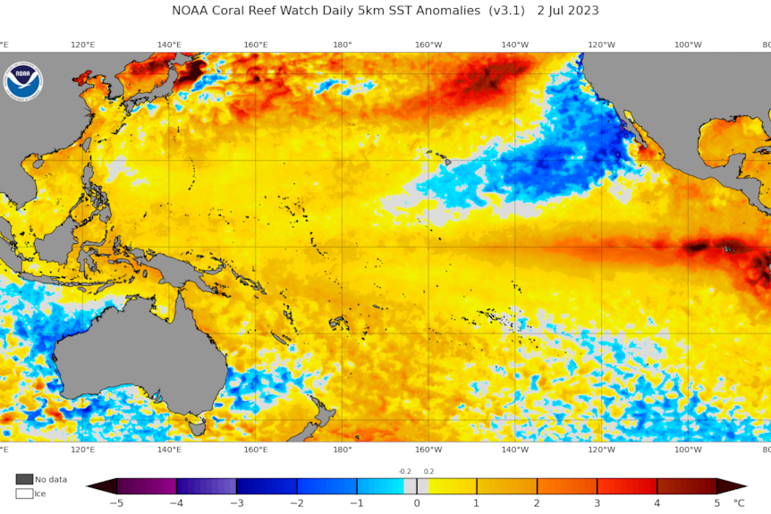 A heat map showing warming across the eastern Pacific