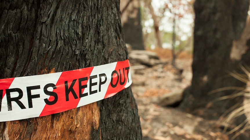 Plastic tape with the words 'keep out' written on it, wrapped around a tree trunk burned by bushfire.