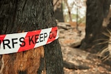 Plastic tape with the words 'keep out' written on it, wrapped around a tree trunk burned by bushfire.