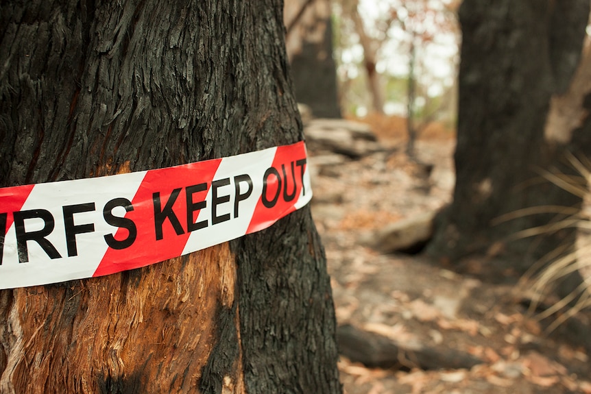 Plastic tape with the words 'keep out' written on it, wrapped around a tree trunk burned by bushfire.