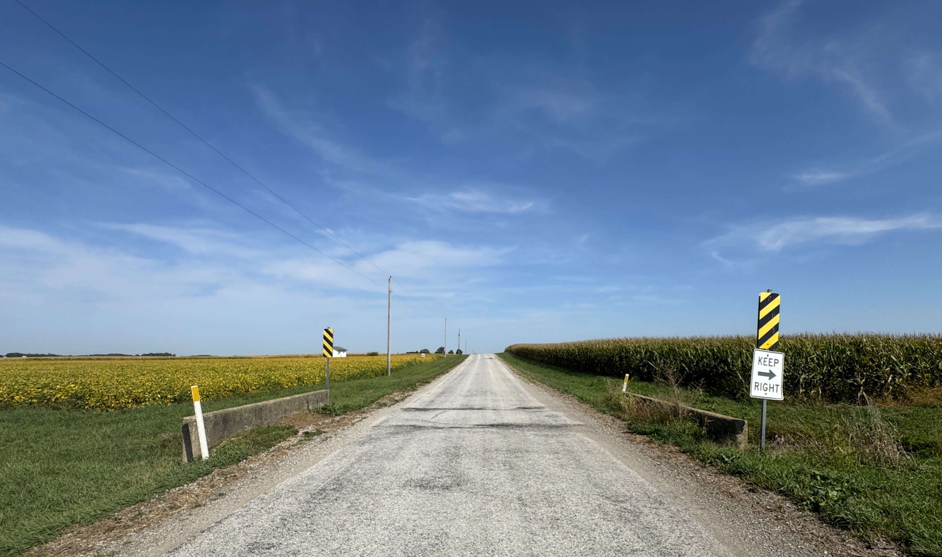 a dirt road in the middle of frame with soybean fields on the left and corn on the right