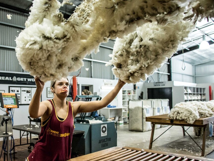 A roustabout throws up a bale of wool at a shearing shed in central Victoria