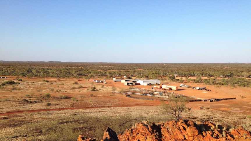 Sylvania Station in the East Pilbara