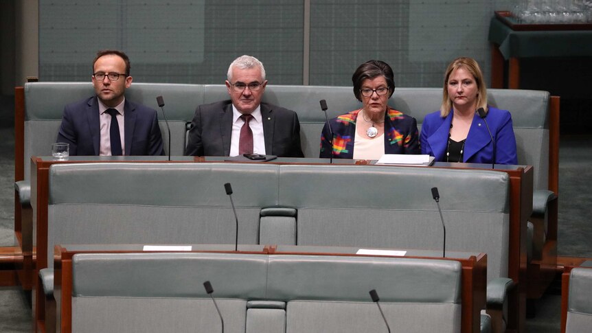The four MPs are looking glum. They are sitting on the same row.