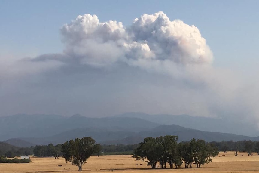 A large convective column of smoke over the fire at Mt Buffalo.