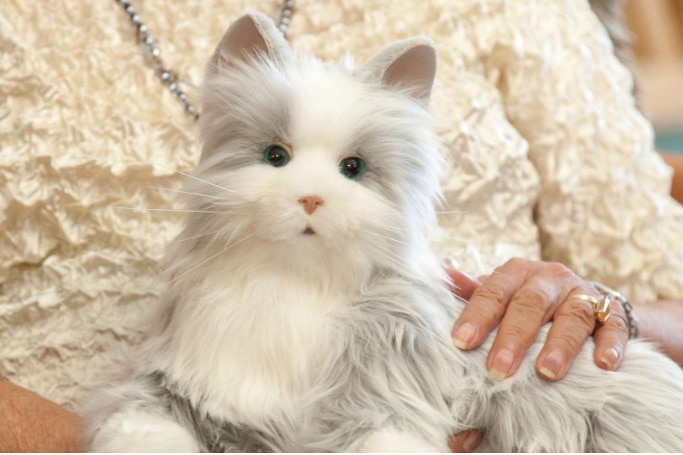 A realistic-looking cat toy sitting on a older person's lap