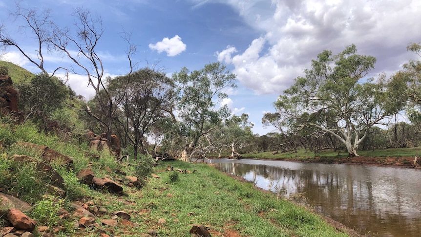 A river in the east Pilbara