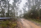 Some police tape is hung between trees on a wet, muddy unsealed road