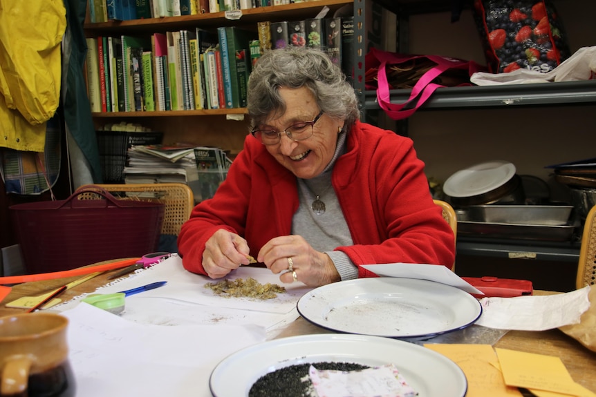 a woman wearing glasses sitting at a table sorting seeds