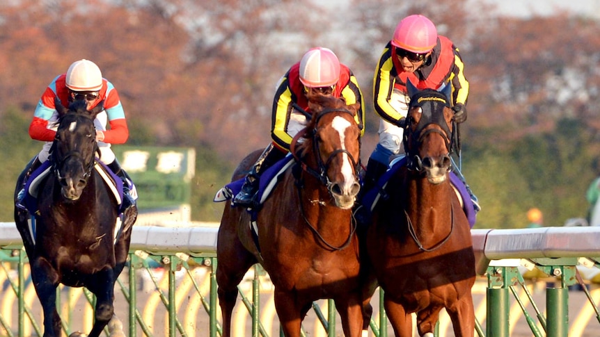 Gentildonna defeats Orfevre to win Japan Cup