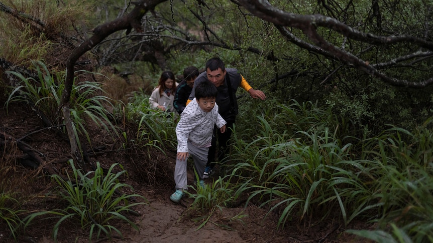 A young boy leads the way for a group of migrants going through thick bush.