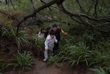 A young boy leads the way for a group of migrants going through thick bush.