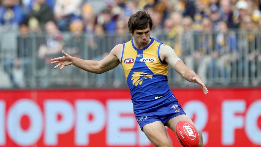 Andrew Gaff kicks forward for West Coast