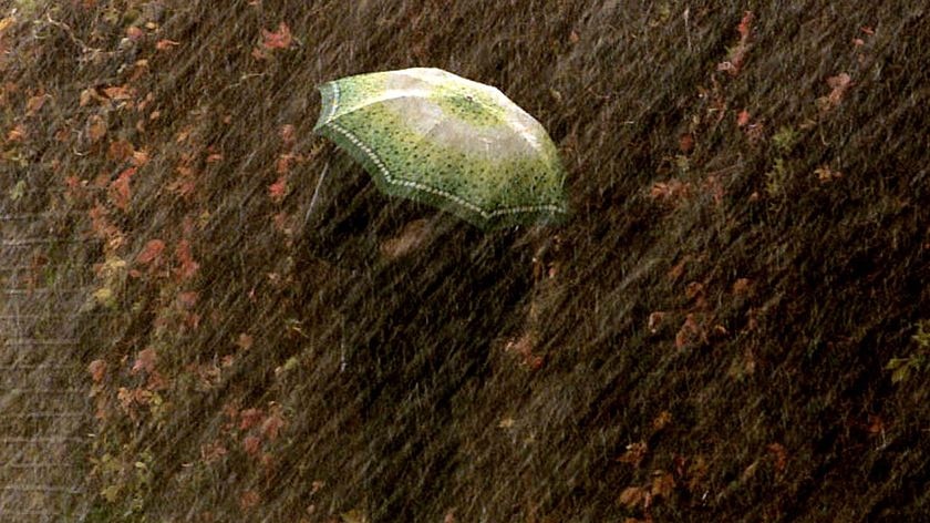 A woman struggles under her umbrella
