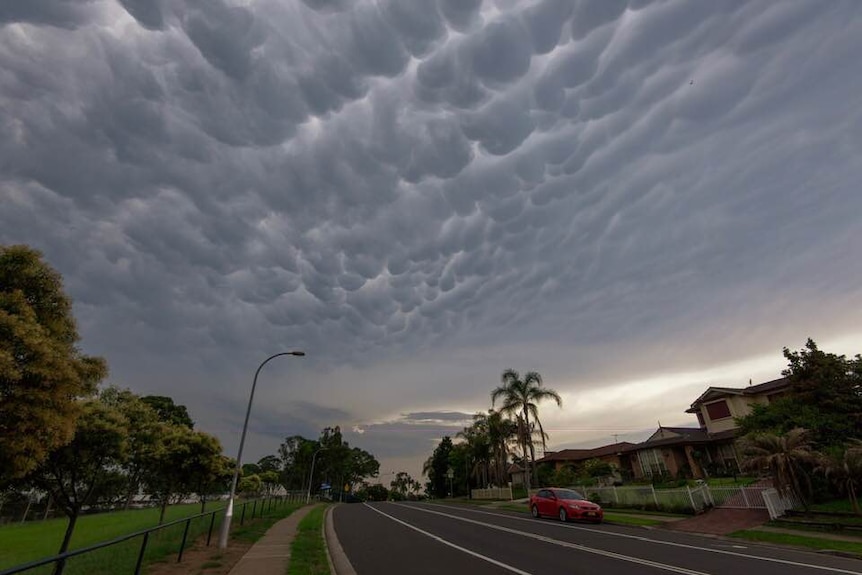 Dark mammary-shaped clouds are seen over suburban houses and a street lined with trees