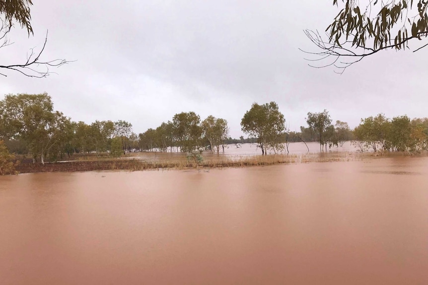 Dam full of water on an outback station