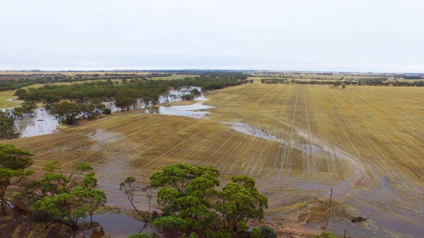 Flooded paddocks at Doodenanning