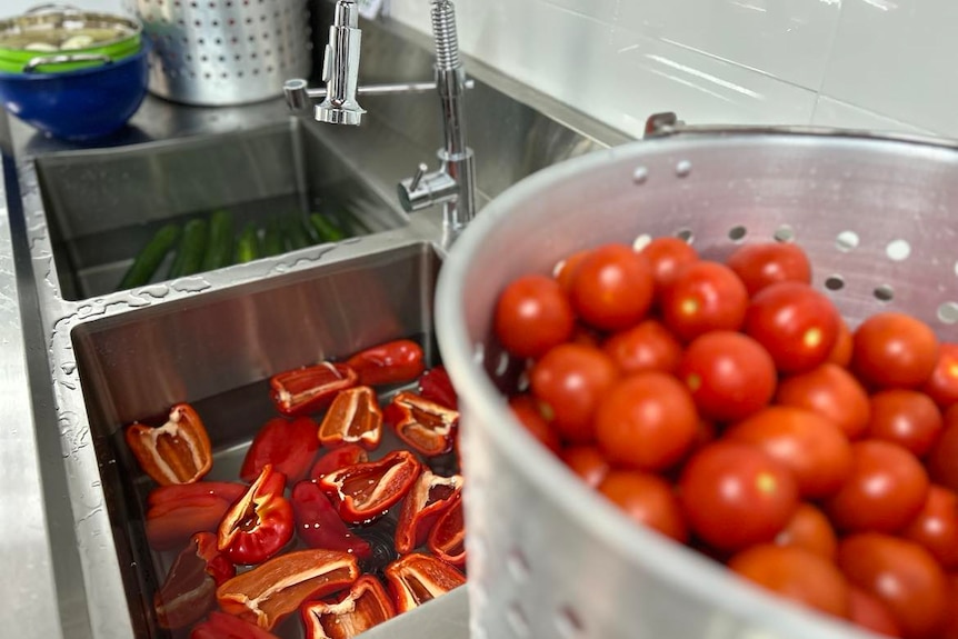 Cucumbers capsicums and tomatoes in kitchen