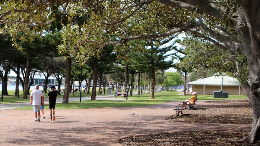 People walking and sitting along a waterside foreshore with paths and pine trees.