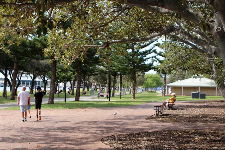 People walking and sitting along a waterside foreshore with paths and pine trees.