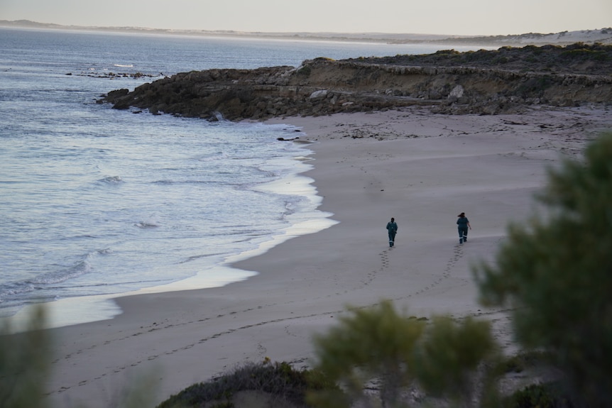 Two people walk along a beach, with a trail of footprints behind them