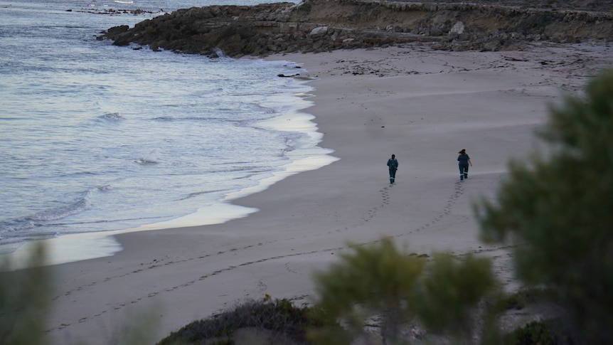 Two people walk along a beach, with a trail of footprints behind them