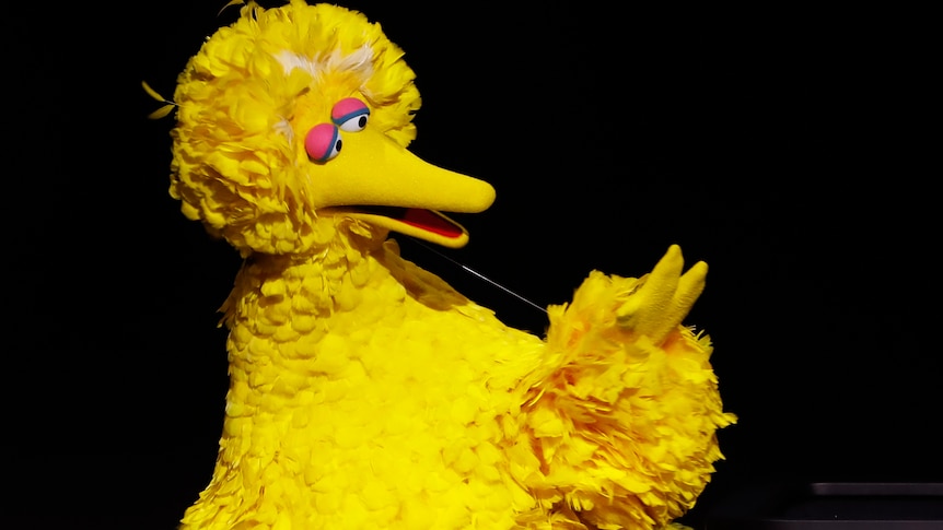 a person dressed as big bird from sesame street speaks on a stage