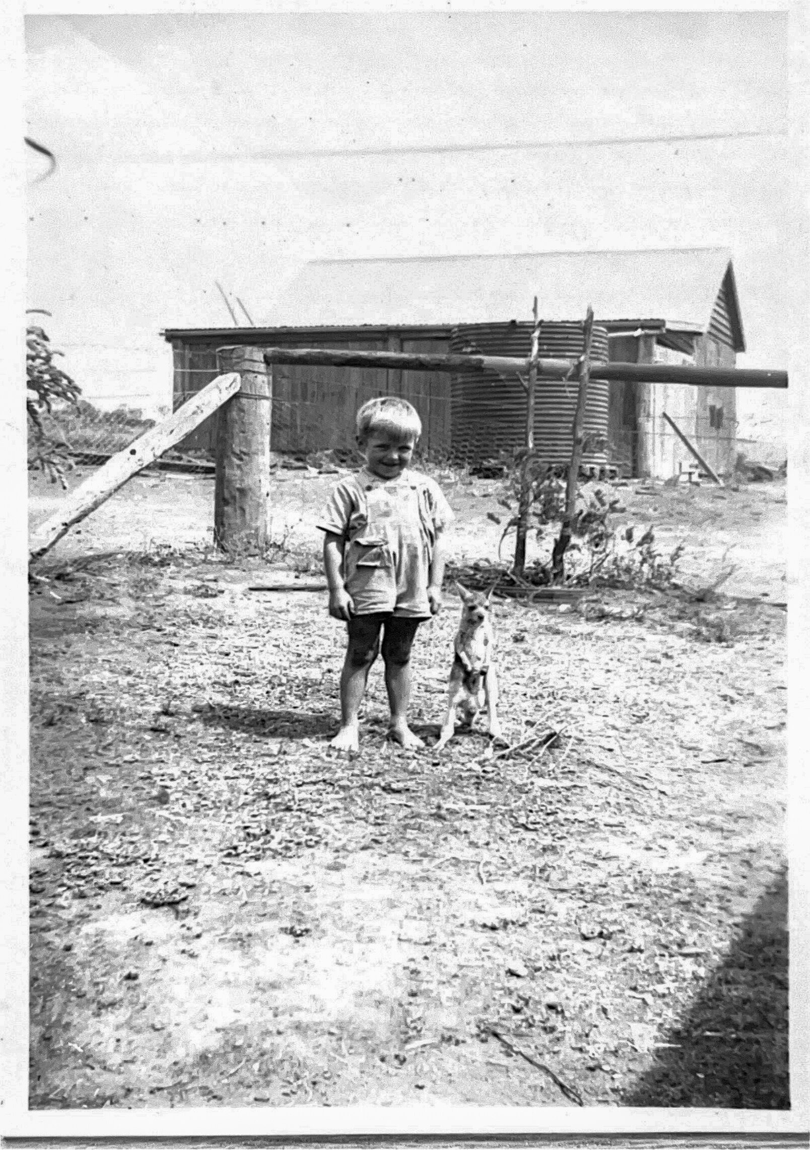 Reporting on Meat and Livestock Australia a passion for Queensland man