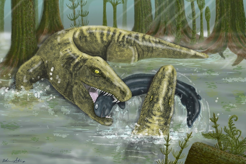 An artist's reconstruction of the large early tetrapod and apex predator Whatcheeria