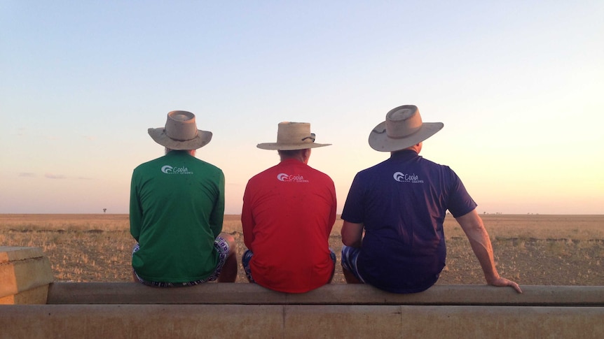 Three men sit on the edge of the trough wearing rashies and wide-brimmed hats as the flies swarm.