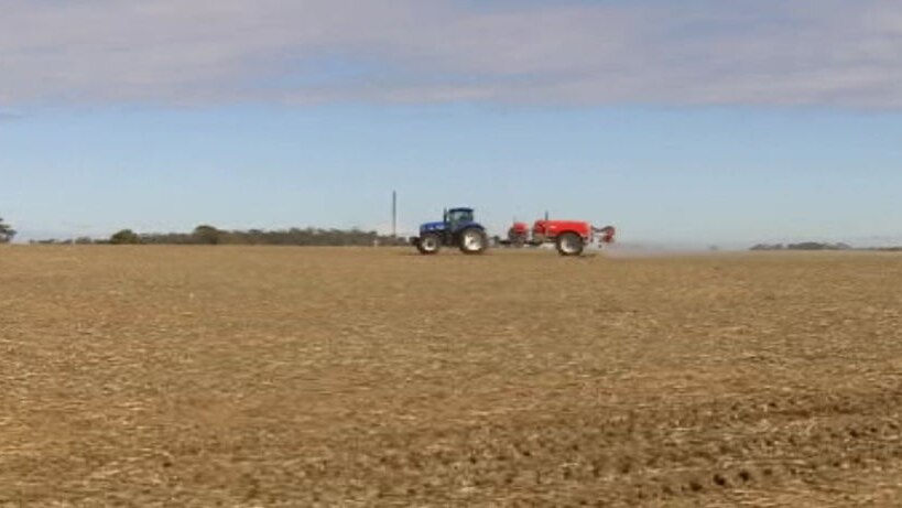 Farmers in the northern wheatbelt of WA are facing dry conditions (file)