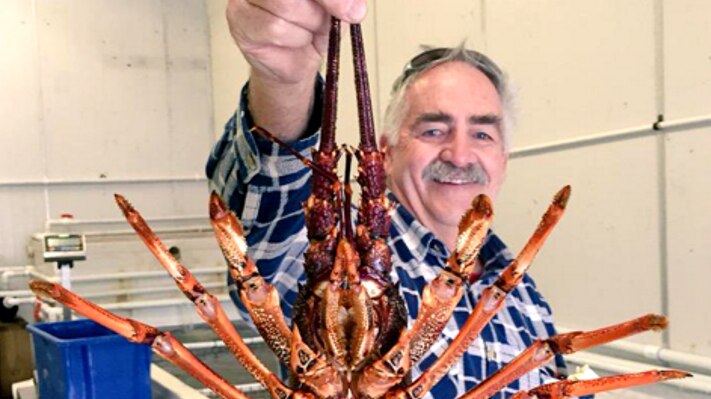 man holding lobster