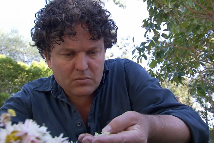 a man looking at seeds in a dried wild flower