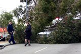 A car is caught under falling tree during a fierce storm in Perth.