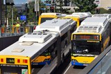 Brisbane public buses