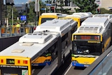Brisbane public buses