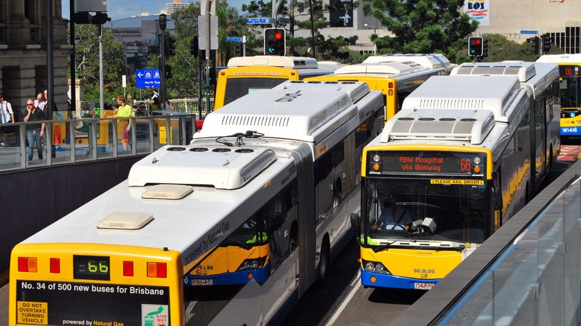 Brisbane public buses drove on the road