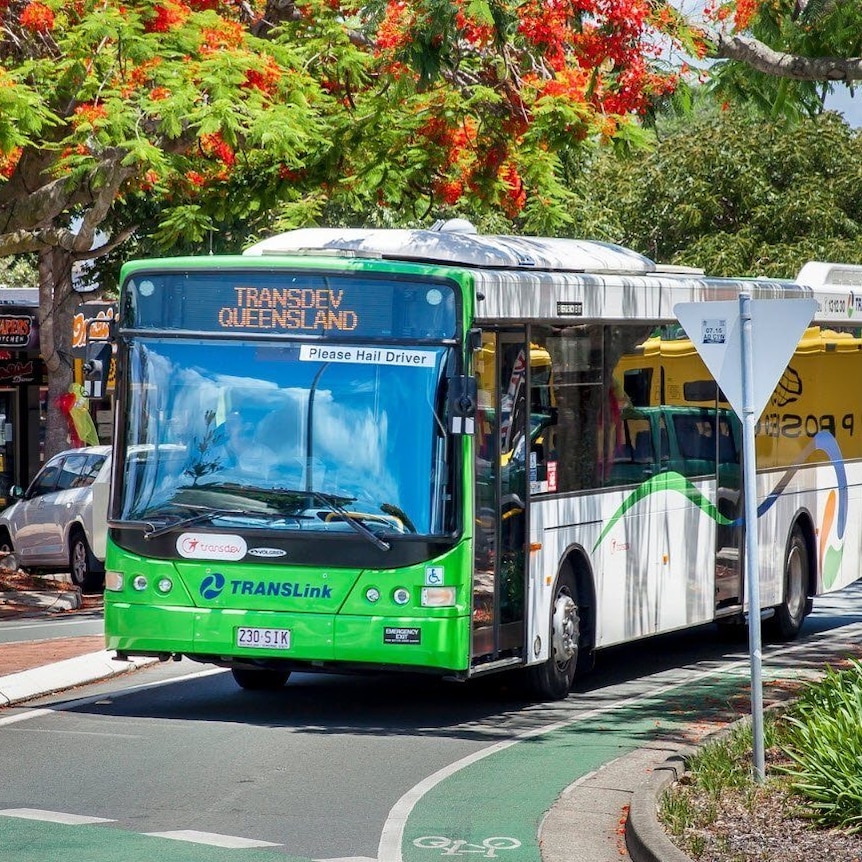 A green bus drives down a shady street with the words "Transdev Queensland" flashing on its brow.