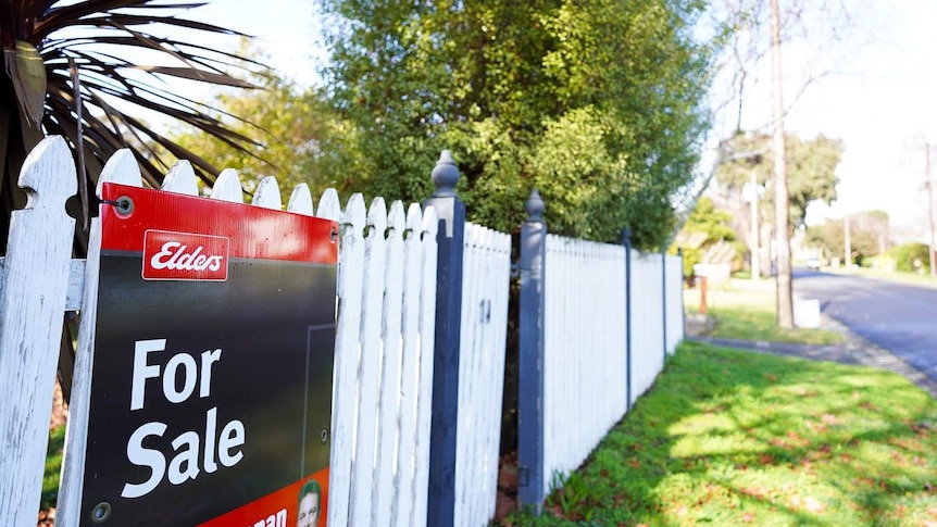 A For Sale sign is pinned to a white picket fence on a leafy suburban street in Mount Gambier.