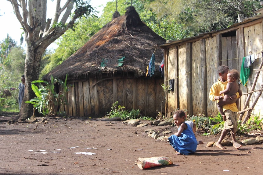 Kids in front of a traditionally-built house surrounded by bushland in the PNG highlands.