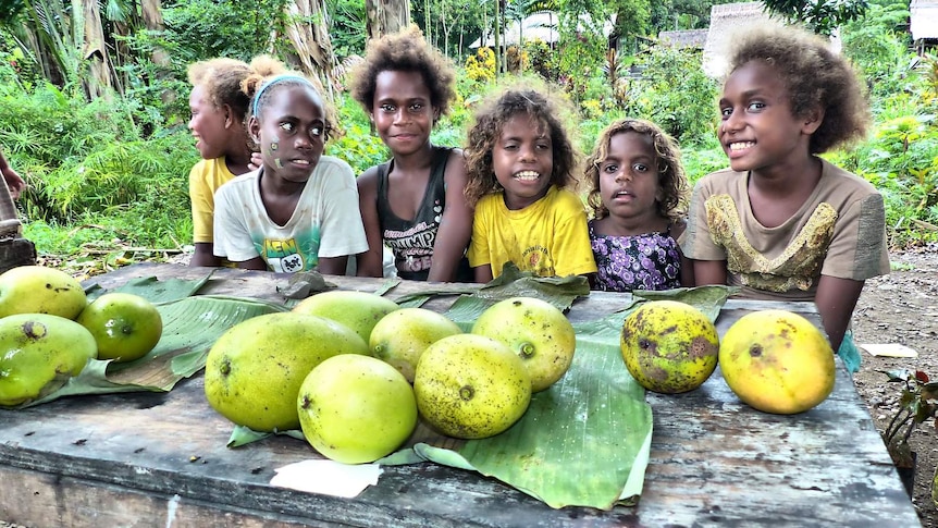 Spirits have been high in Solomon Islands as the country goes to the polls on November 19, 2014.