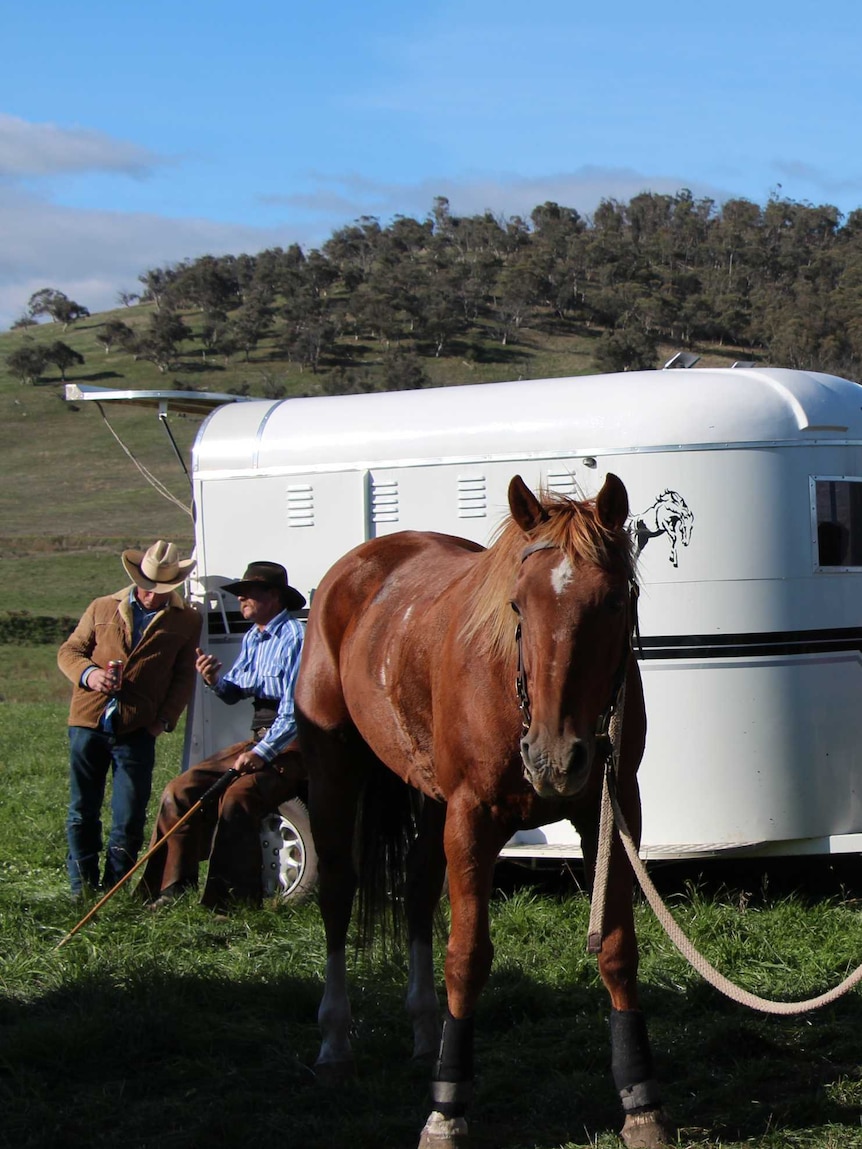 Talking tactics before the Easter polo match at Cobungra Station