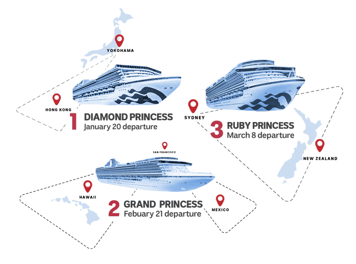 Infographic showing different cruise ships.