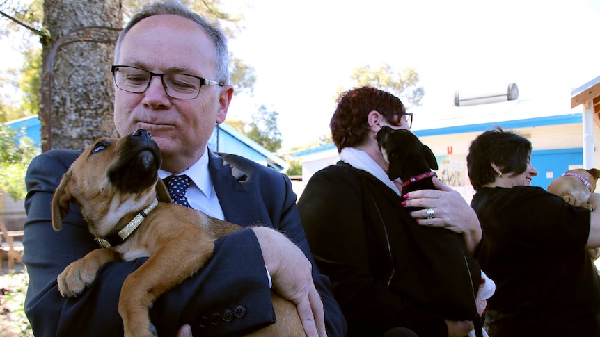 Minister David Templeman holding a brown puppy.