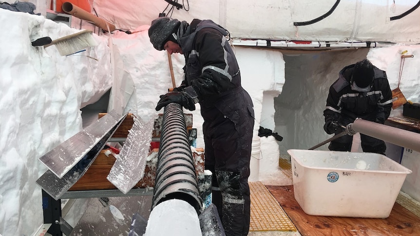 A scientist peers over an ice core at a tent in Antarctica. The walls are made out of ice
