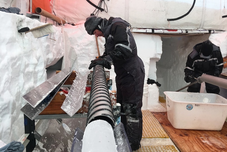 A scientist peers over an ice core at a tent in Antarctica. The walls are made out of ice