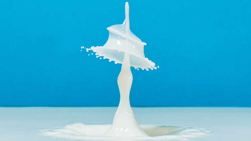 A close-up of a drop of milk falling into a larger pool